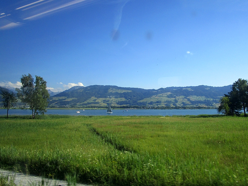 Blick auf den Obersee des Zürichsees