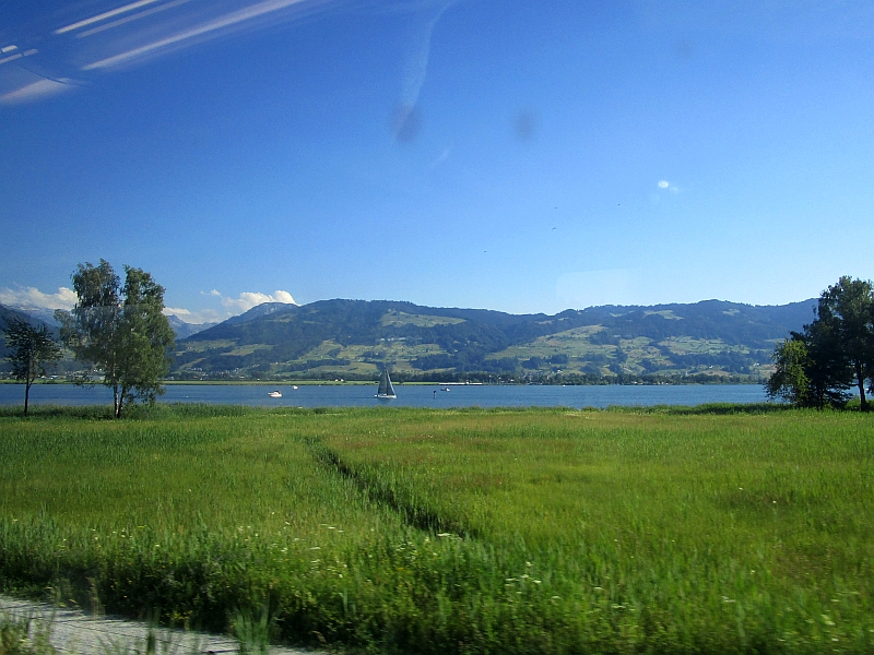 Blick auf den Obersee des Zürichsees