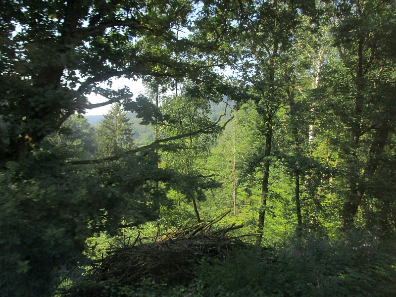 Fahrt durch den Bayerischen Wald
