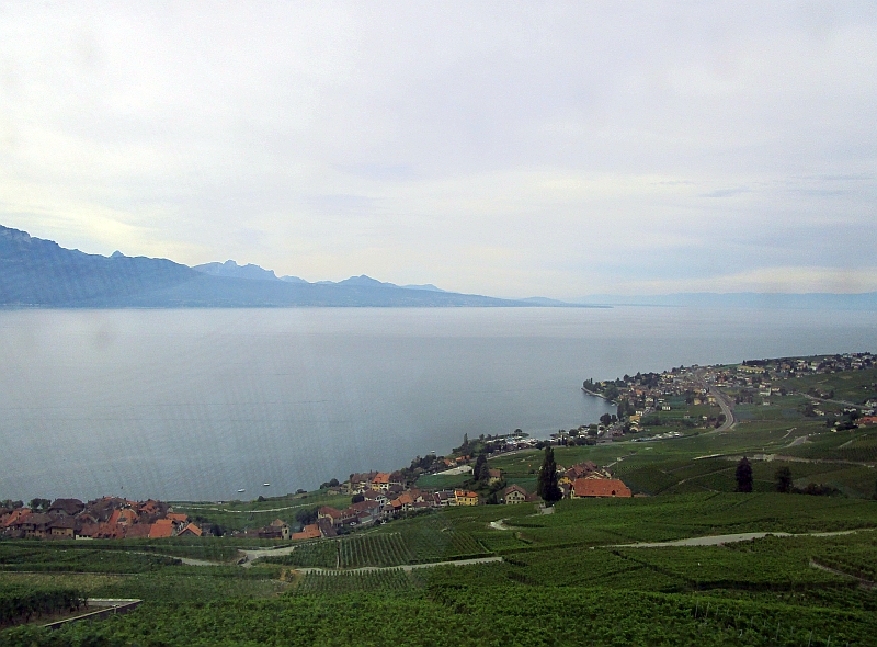 Blick aus dem Zug auf den Genfer See