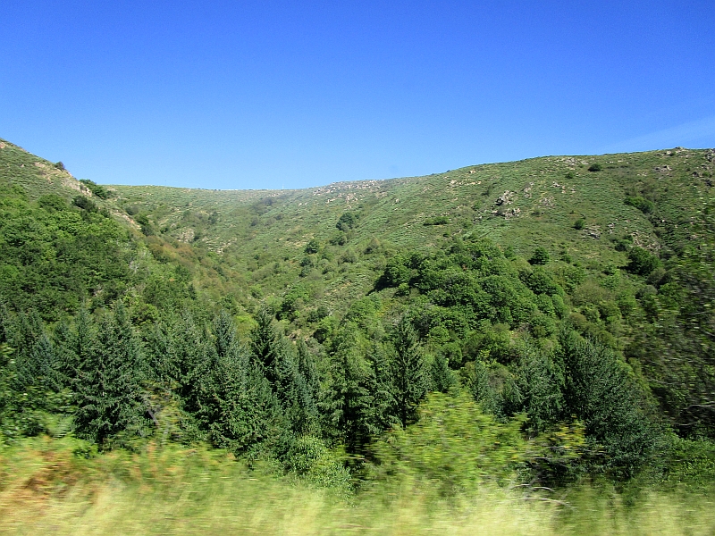 Fahrt auf der Ligne des Cévennes