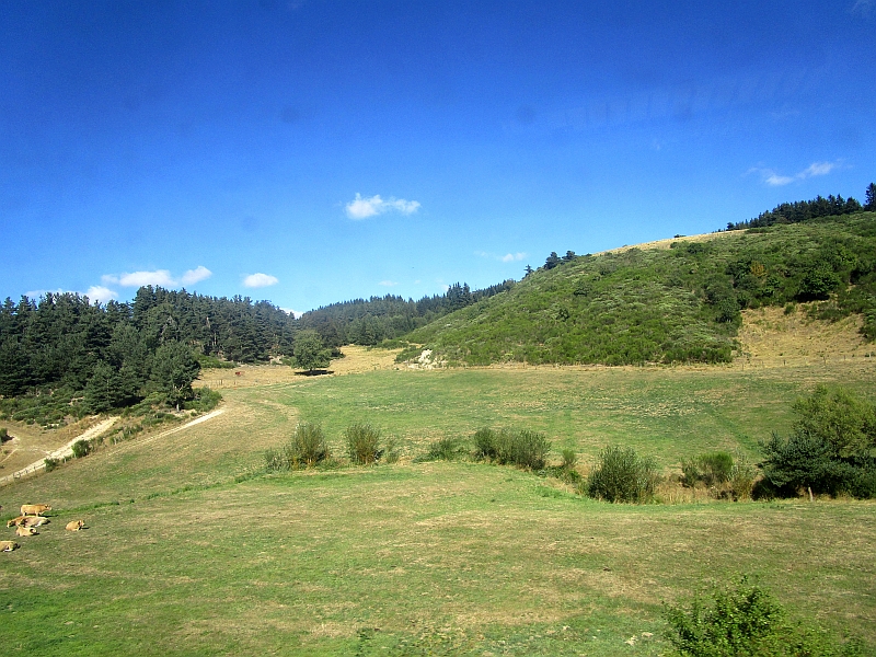 Hochfläche des Aubrac