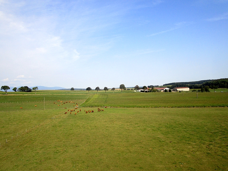 Fahrt durch das Sundgau