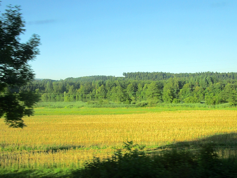 Blick auf den Hochrhein