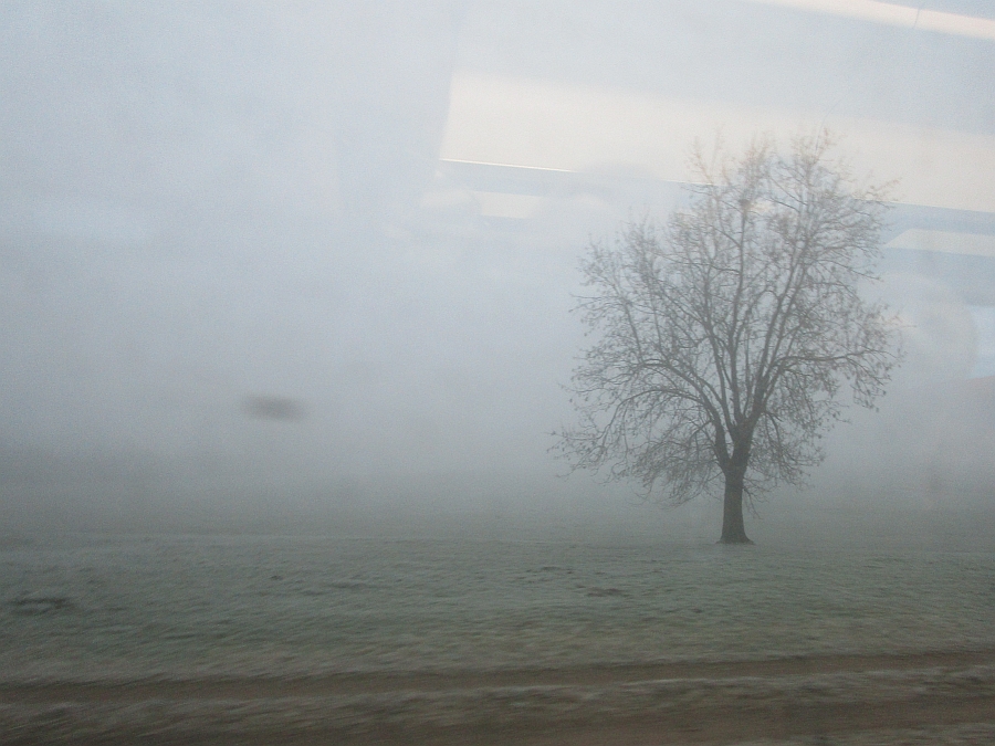Fahrt im Nebel durch den Thurgau