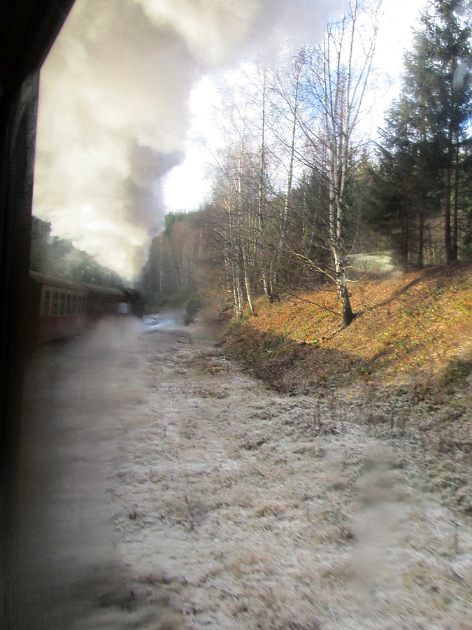 Blick aus dem Zugfenster bei der Bergfahrt zum Brocken