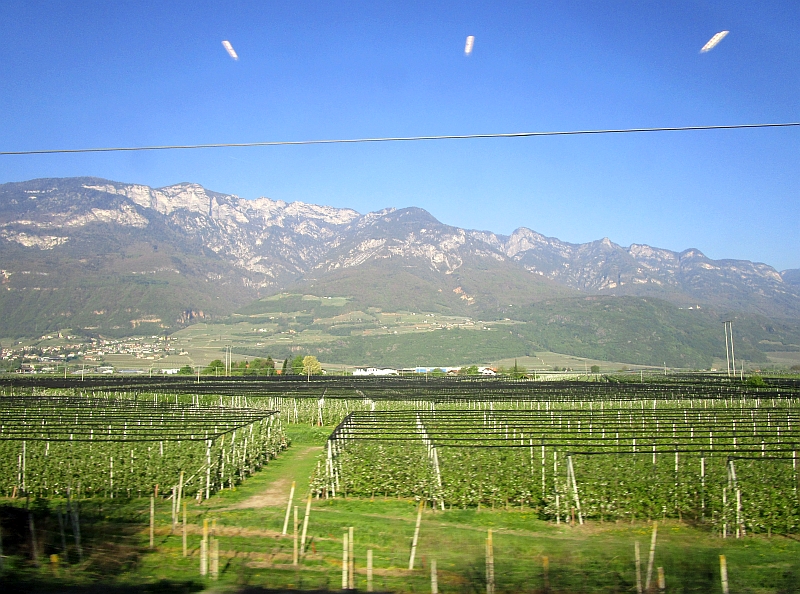 Fahrt durch das Südtiroler Unterland