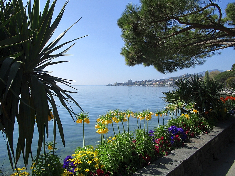 Spaziergang an der Uferpromenade von Montreux