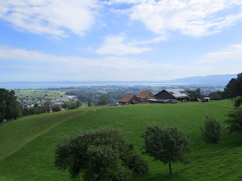 Blick auf den Bodensee bei der Talfahrt von Walzenhausen nach Rheineck