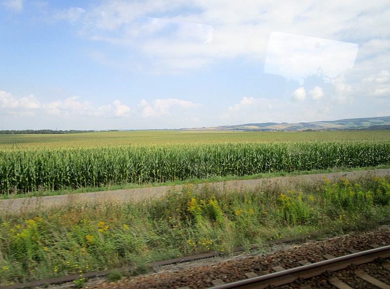 Fahrt von Weimar nach Erfurt