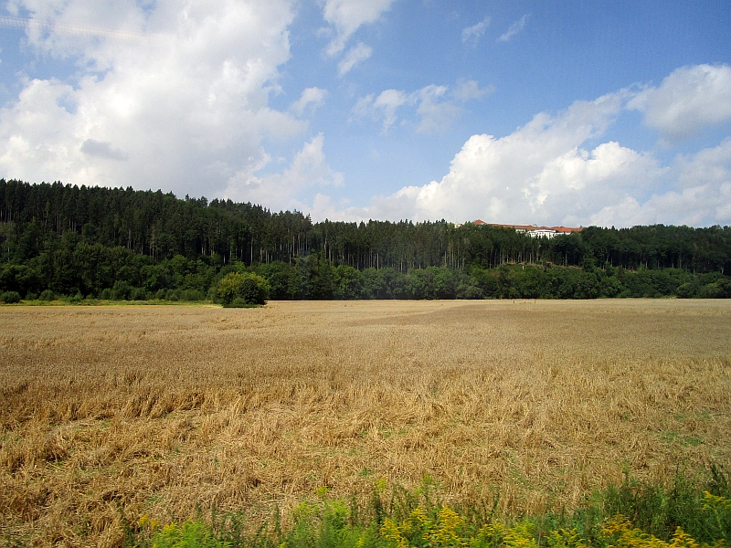 Fahrt durch das Ilmtal