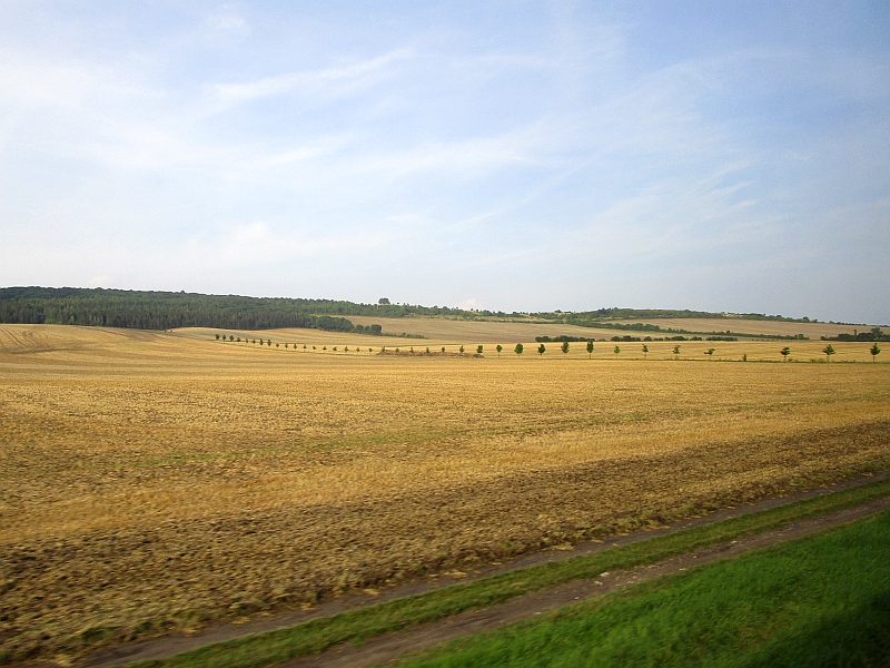 Fahrt auf der Pfefferminzbahn