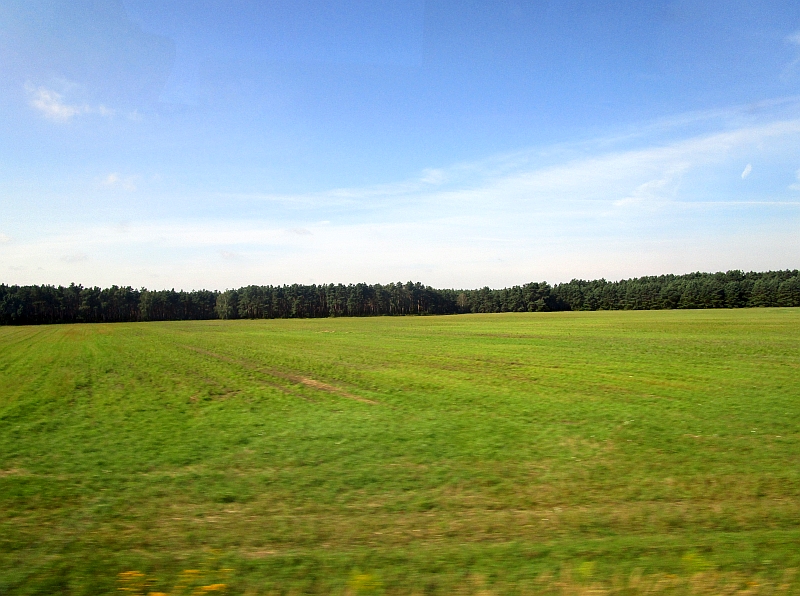 Blick aus dem Zugfenster auf die Wälder der Niederlausitz