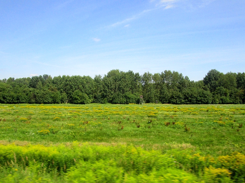 Fahrt durch die Oberlausitz