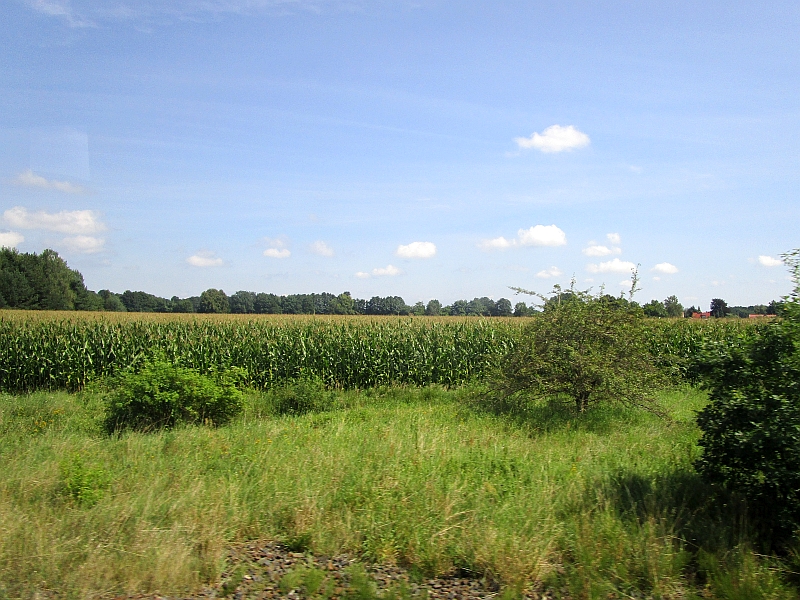 Blick aus dem Zugfenster auf die Landschaft der Oberlausitz