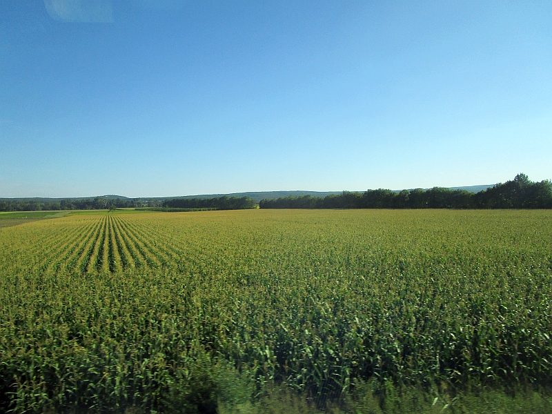 Blick auf die Leithaberge