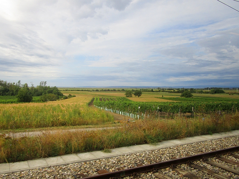 Fahrt am Neusiedler See