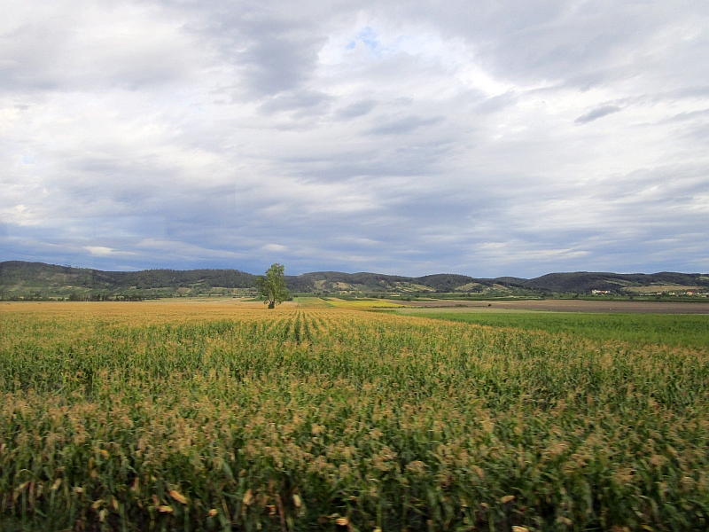 Fahrt am Leithagebirge