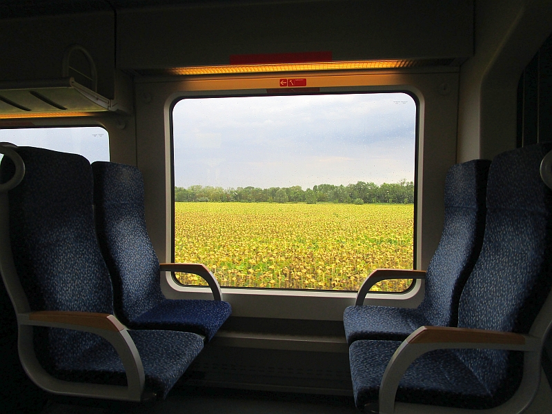 Blick aus dem Zugfenster auf der Fahrt von Fertőszentmiklós nach Neusiedl am See