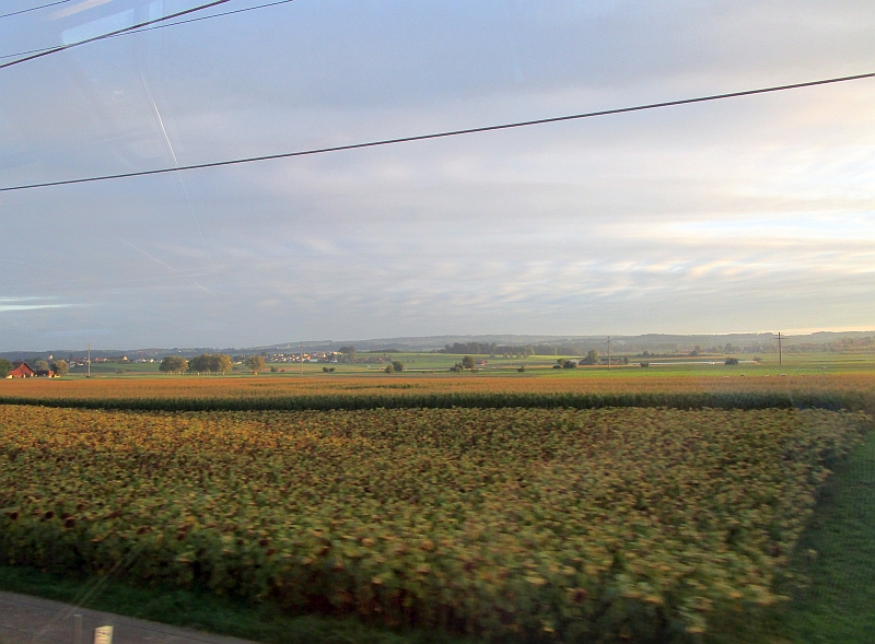 Blick aus dem Zugfenster zwischen Weinfelden und Frauenfeld