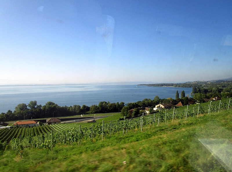 Fahrt durch die Weinberge am Neuenburgersee