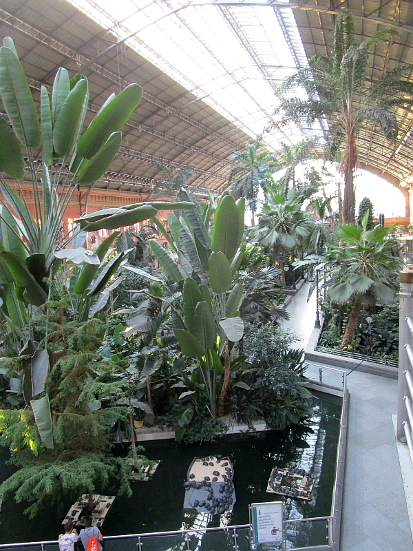 Palmengarten in der alten Bahnhofshalle von Madrid Puerta de Atocha