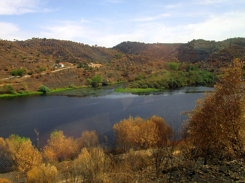 Waldbrandgebiet am Tejo