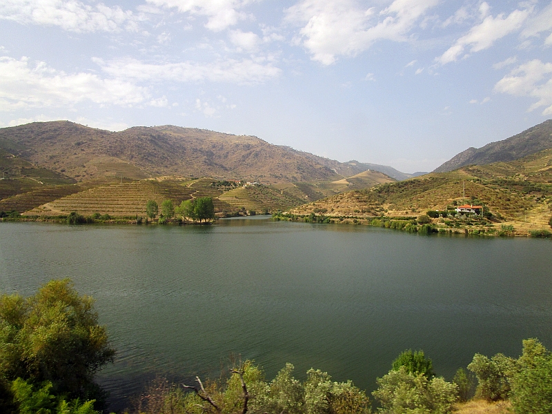 Terrassierte Weinberge am Douro