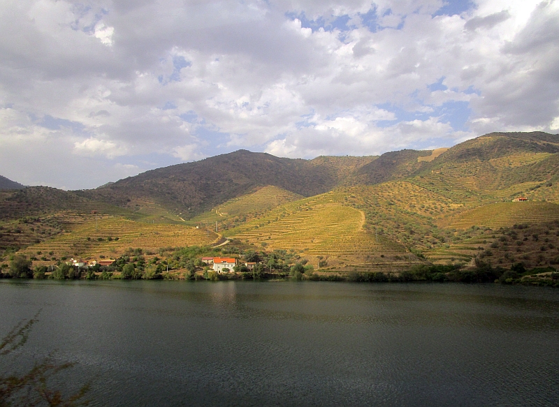 Rückfahrt auf der Linha do Douro