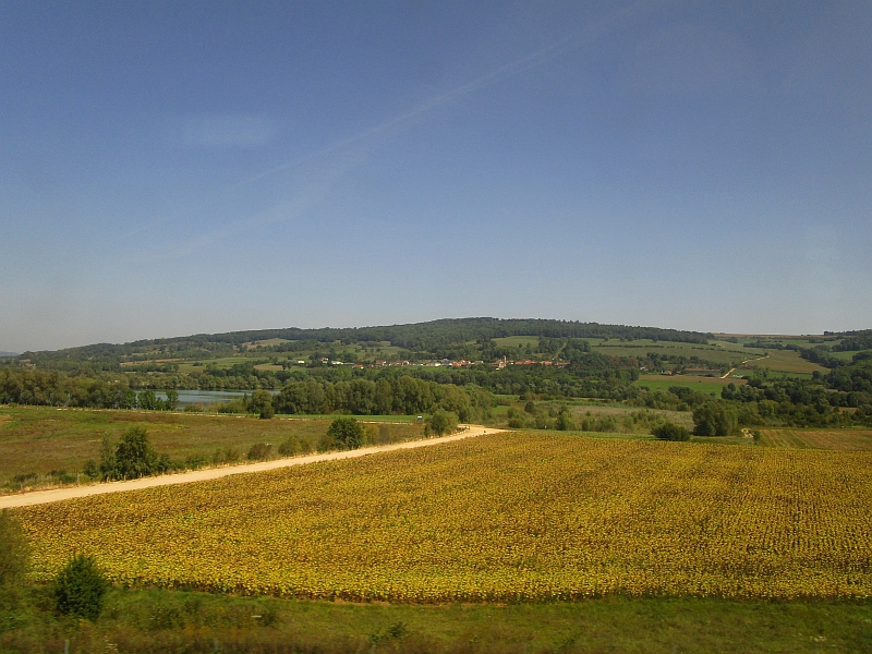 Fahrt durch die Champagne