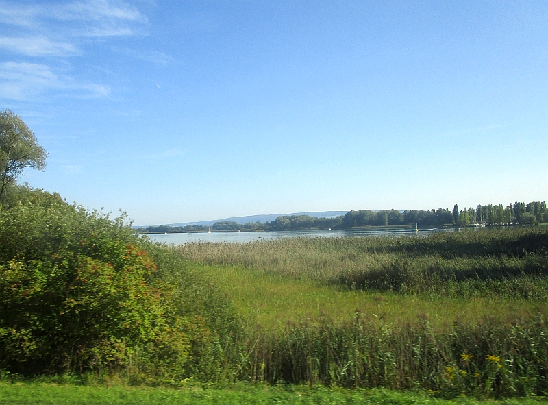 Blick aus dem Zugfenster auf den Bodensee bei Radolfzell
