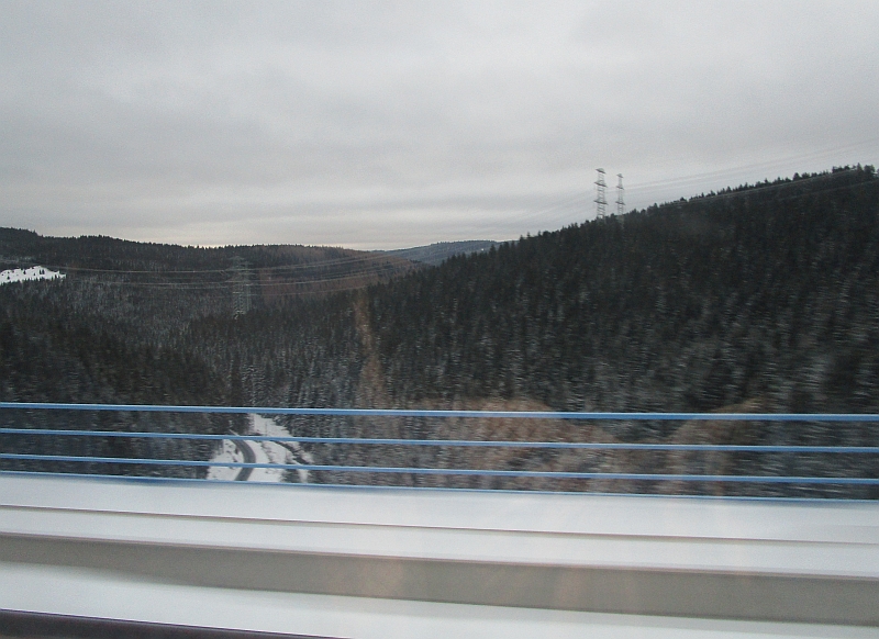 Blick aus dem Zugfenster im Thüringer Wald