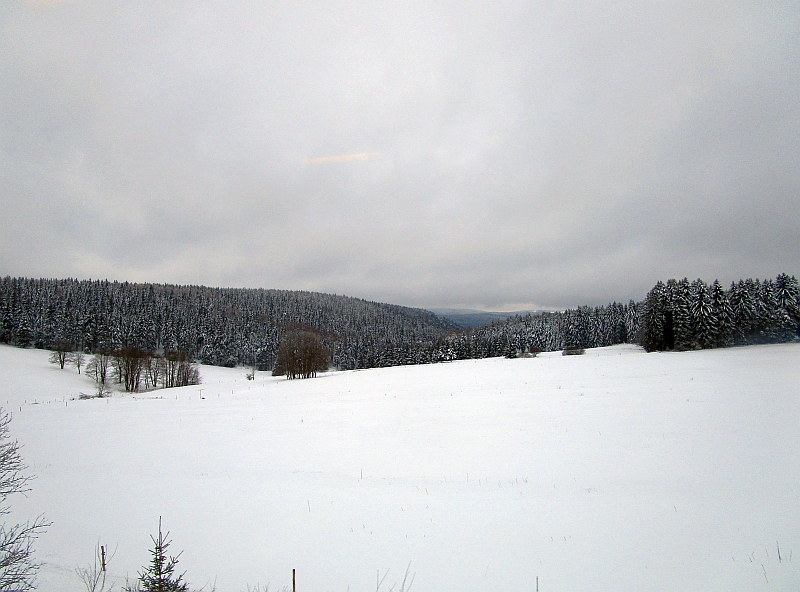 Winterlandschaft bei Neuhaus am Rennweg