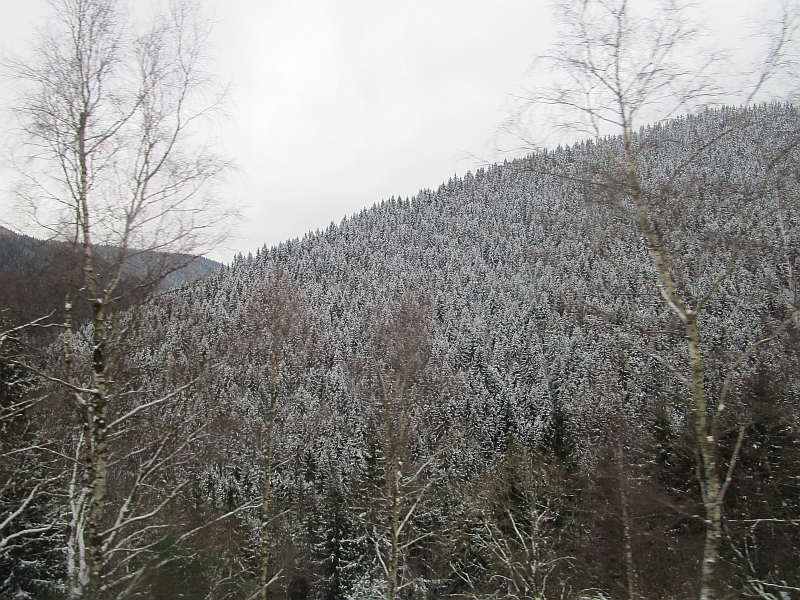 Winter im Thüringer Schiefergebirge