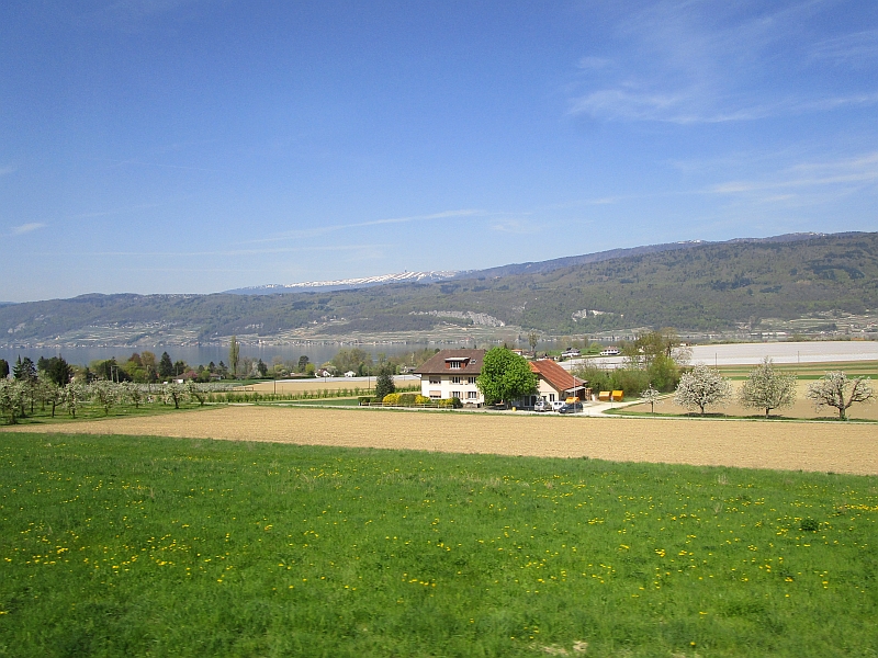 Blick aus dem Zugfenster auf die Landschaft des Berner Seelands