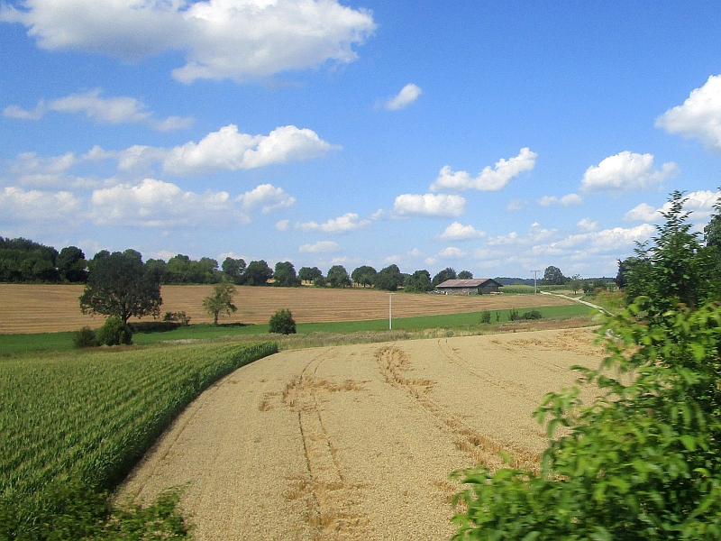 Blick aus dem Zugfenster zwischen Roßberg und Aulendorf