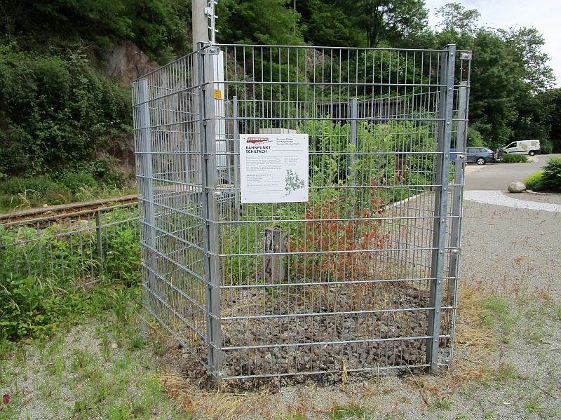Bahnschotter-Biotop am Bahnpunkt Schiltach