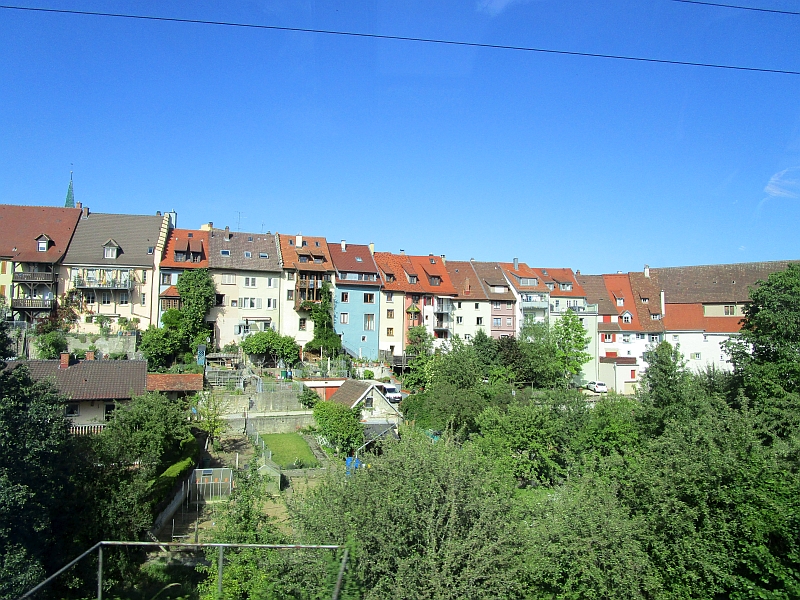Blick auf die Altstadt von Engen