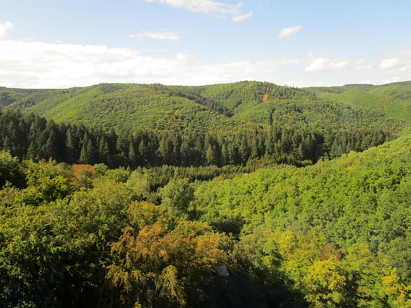 Blick aus dem Zugfenster auf den Bopparder Stadtwald