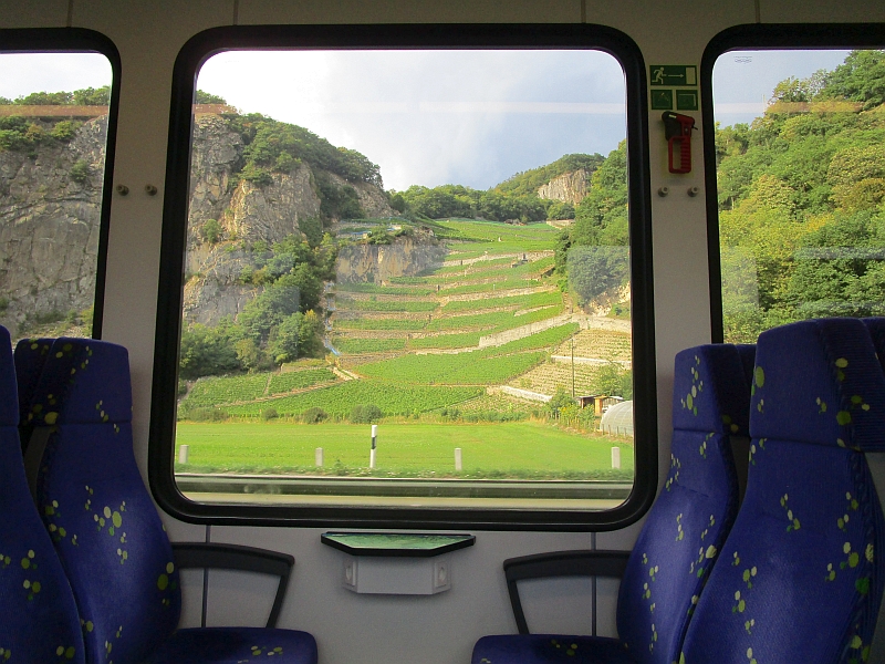 Blick aus dem Zugfenster auf Weinberge bei Ollon