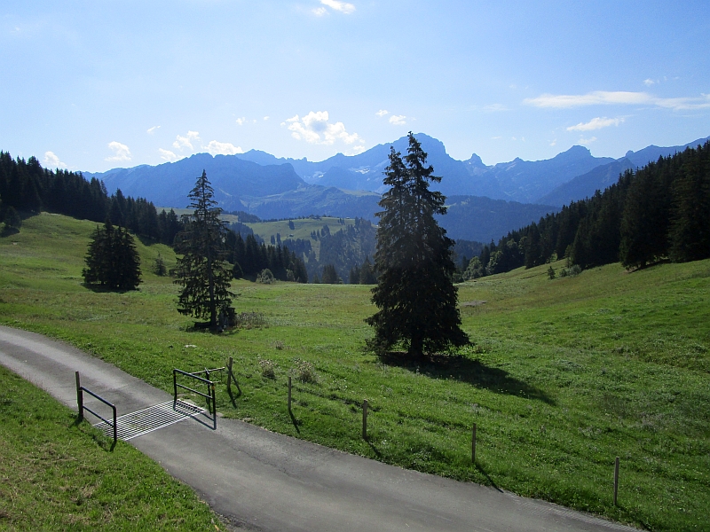 Fahrt durch die Waadtländer Alpen