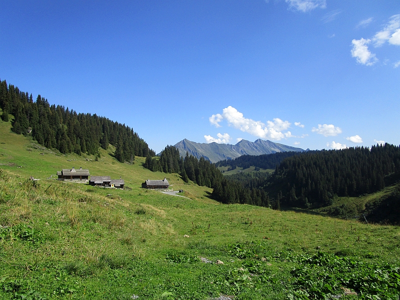 Landschaft der Waadtländer Alpen
