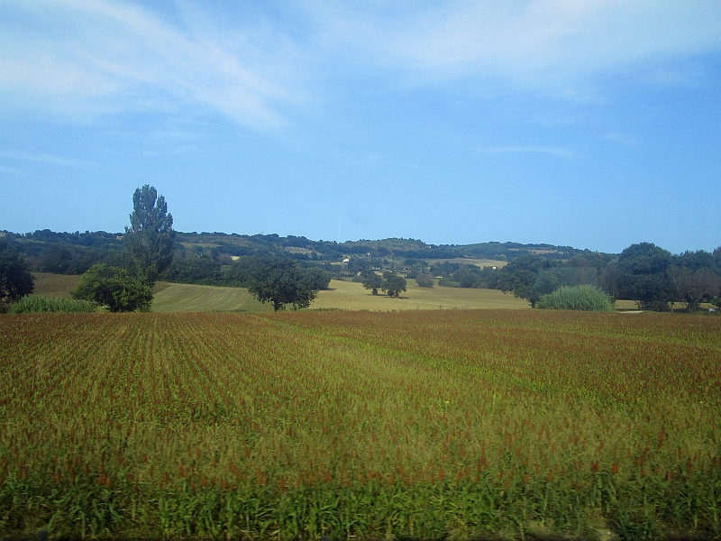 Blick aus dem Zugfenster am Rande des Naturparks Monte San Bartol