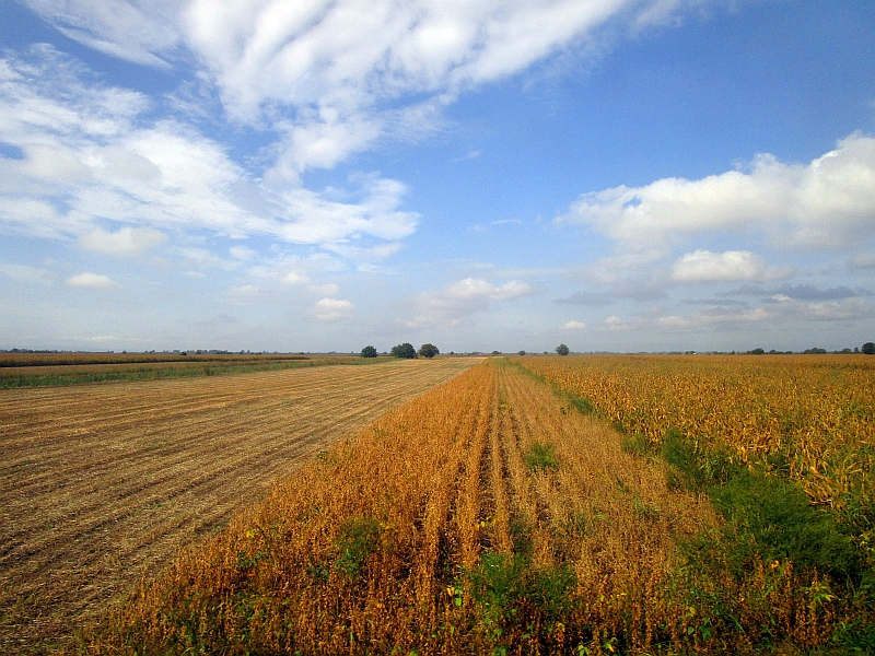 Landwirtschaftliche Flächen in der Provinz Vojvodina