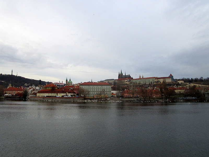 Moldau mit Blick zur Prager Burg