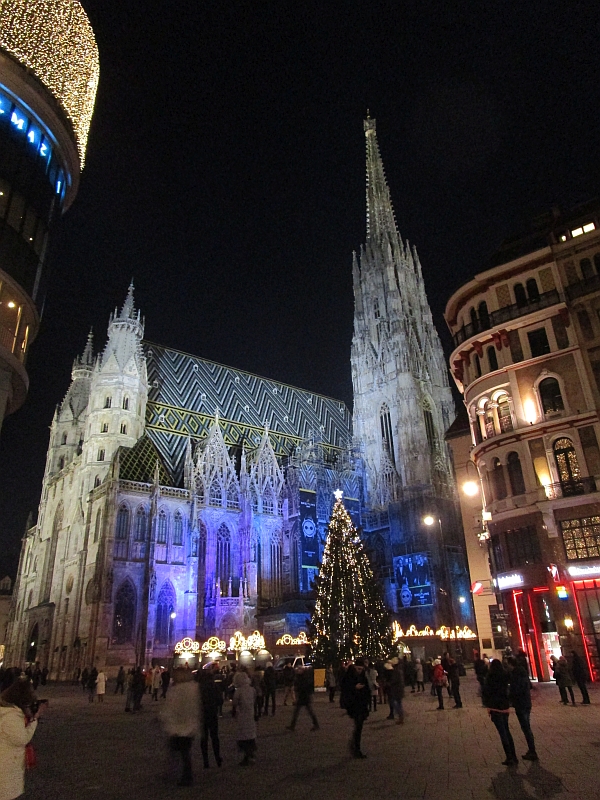 Weihnachtsbaum am Stephansdom Wien
