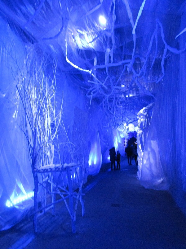 'Wintergarten' im Grič Tunnel