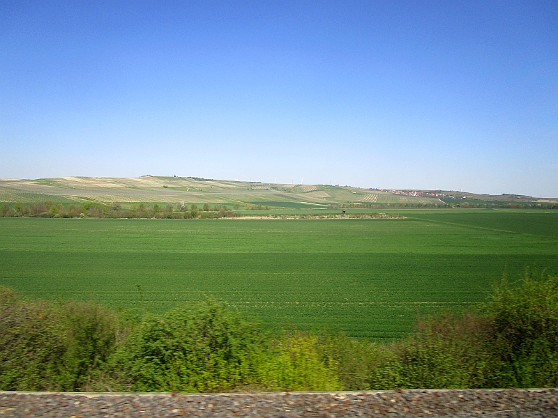 Blick aus dem Zugfenster zwischen Mainz und Alzey