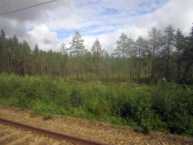Wälder entlang der Bahnstrecke