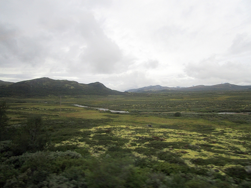Fahrt über die Hochebene des Dovrefjell-Nationalparks